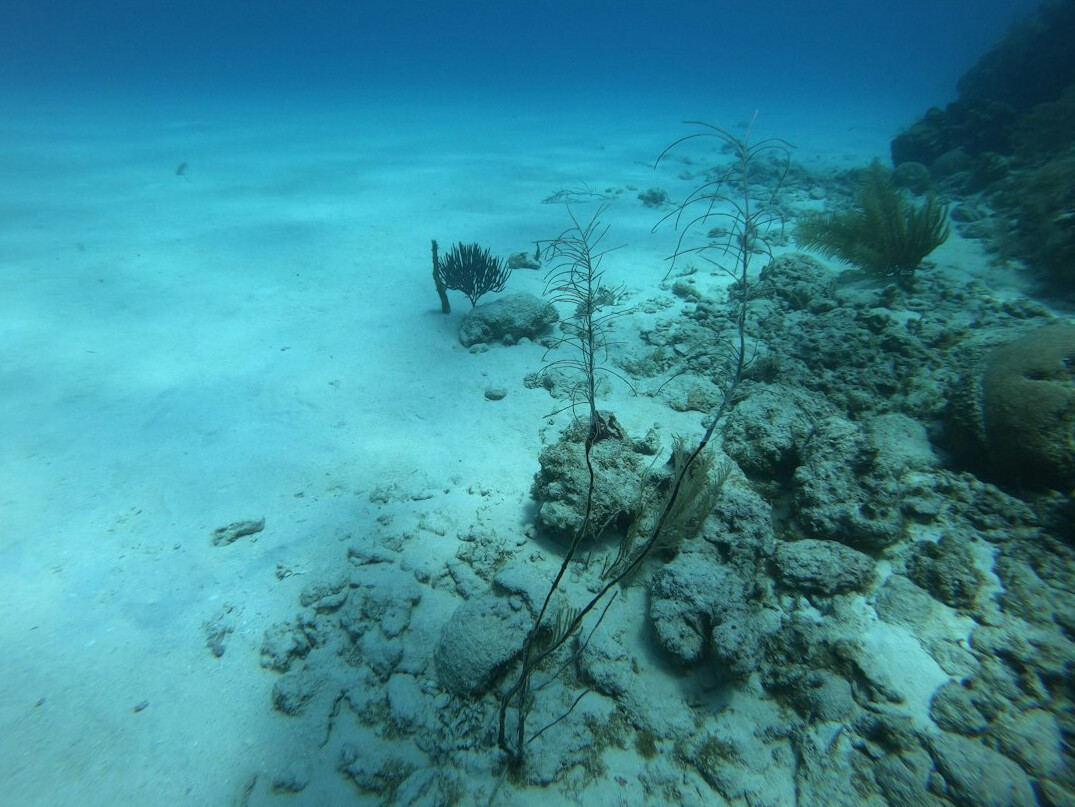 underwater treasure hunt