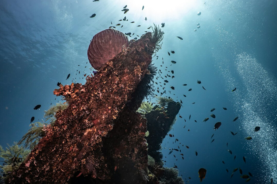 sunken shipwreck underwater